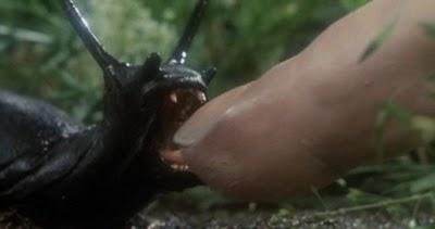 Slugs, Muerte Viscosa (Juan Piquer Simón, 1988) Slugs, Muerte Viscosa (Juan Piquer Simón, 1988)