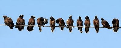 LAS DOCE Y MÁS LAS DOCE Y MÁS