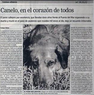 Canelo, una historia de lealtad Canelo, una historia de lealtad