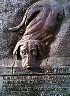 Canelo, una historia de lealtad Canelo, una historia de lealtad