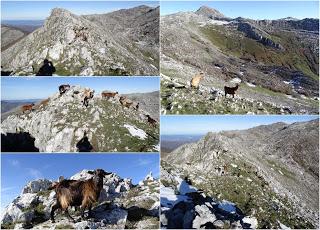 Pena Alba-L.lampaza-Pelitrón-El Gorbizusu-La Mor de la Col.lá-El Baul.lal