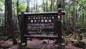 Aokigahara: el bosque japonés de los suidicios.
