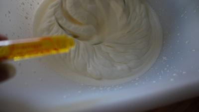 Mousse fácil de mango