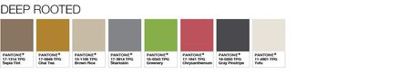 Ya tenemos el color del 2017 de Pantone: el verde “greenery” será el color de 2017 Ya tenemos el color del 2017 de Pantone: el verde “greenery” será el color de 2017