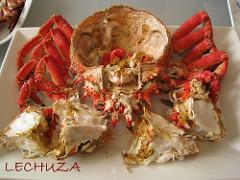 COMO PREPARAR MARISCOS (TUTORIAL) CENTOLLA