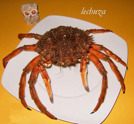 COMO PREPARAR MARISCOS (TUTORIAL) Centollo- crudo