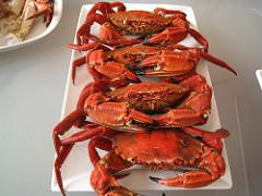 COMO PREPARAR MARISCOS (TUTORIAL) IMG_0868