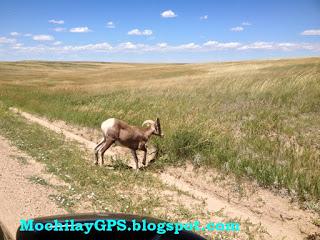 Parque Nacional Badlands (Viaje por el Noroeste de los EEUU VII) Parque Nacional Badlands (Viaje por el Noroeste de los EEUU VII)