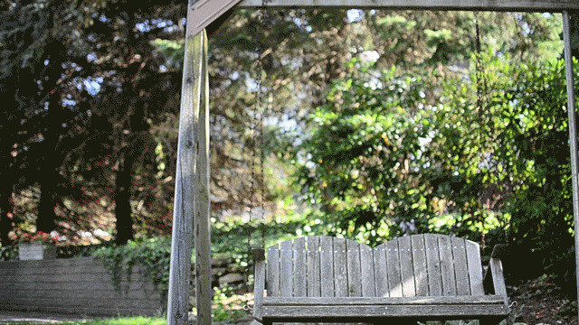 No soy de aceite No soy de aceite