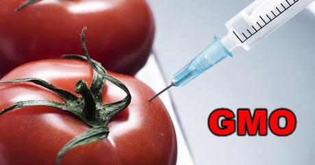 Estamos envenenándonos: Cómo reconocer los tomates GMO en dos fáciles pasos Estamos envenenándonos: Cómo reconocer los tomates GMO en dos fáciles pasos