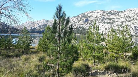 Una excursión entorno al Cúber