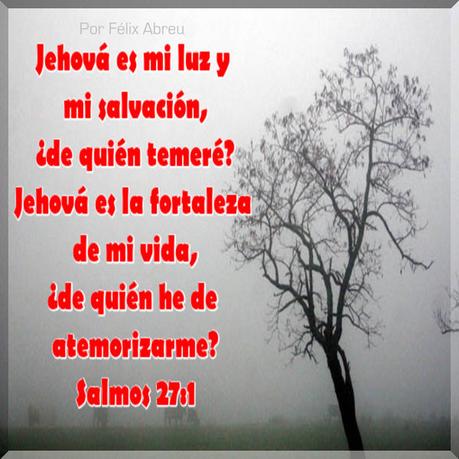 Cuando no hay claridad Cuando no hay claridad