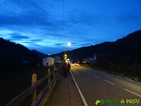 Acera y carretera en Pola del Pino