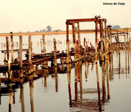 JUNIN. Pampa, Laguna y Fortin. Buenos Aires. Argentina