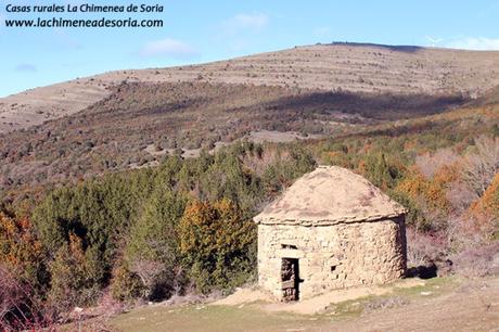 Soria y Tierras Altas: San Pedro Manrique, Ruta de las Icnitas, Acebal de la Garagüeta garagueta soria acebal choza pastores