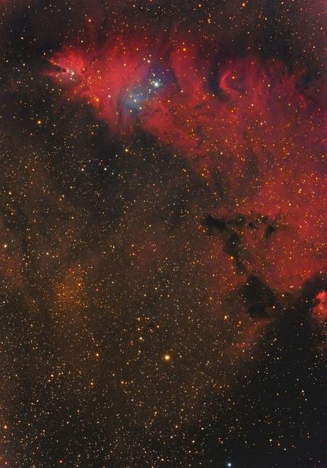 ✨Campo amplio de la nebulosa del Cono por Arno Rottal