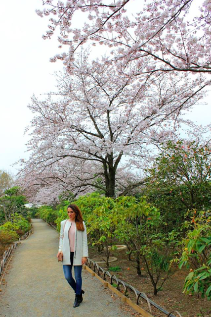 Trip to Tokyo in Spring Trip to Tokyo in Spring
