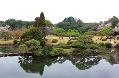 Trip to Tokyo in Spring