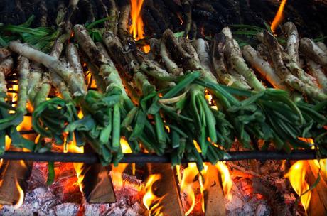 calçots | calçotadas barcelona