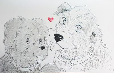 Adquisiciones de Diciembre de 2016 y regalos navideños Adquisiciones de Diciembre de 2016 y regalos navideños