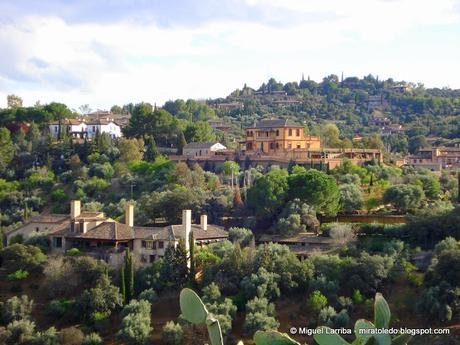 Cigarrales de Toledo: Selvas de Amores Cigarrales de Toledo: Selvas de Amores