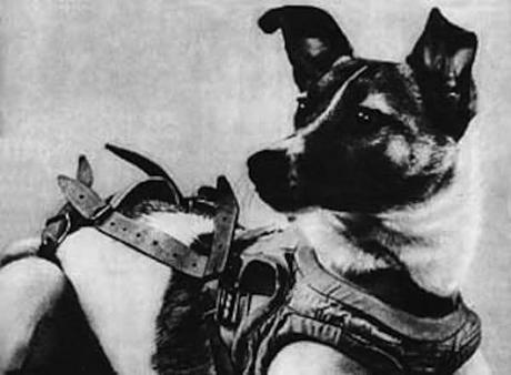 Los 8 Perros Más Famosos De La Historia. ¡Conócelos Uno A Uno!