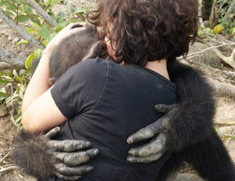 El chimpancé más solitario del mundo abraza a los visitantes después de años de aislamiento en una isla