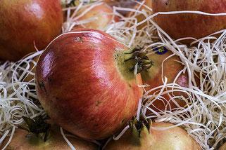 Bajar de peso después de Navidad es posible con estos 7 prácticos consejos Bajar de peso después de Navidad es posible con estos 7 prácticos consejos