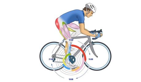 ¿En que afecta la deshidratación al ciclista?