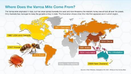 Avance del ácaro varroa en el mundo - Advancement of varroa mite in the world.