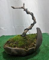 Trabajos de invierno en hoja caduca Trabajos de invierno en hoja caduca