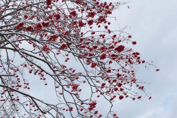 ¡Llega la nieve! ¿Cómo fotografiar adecuadamente la nieve? Parte 3