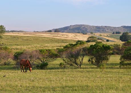 Año Nuevo en las Sierras - { Tandil en Chacra Bliss I}