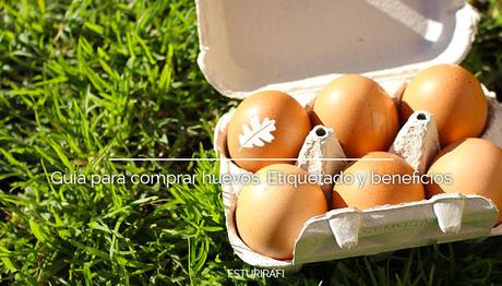 Guía para comprar huevos. Etiquetado y beneficios