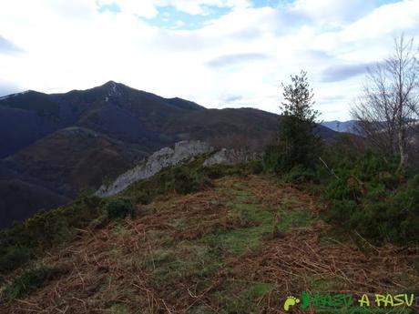 Ruta a Peña Melera y Los Pandos: Bajando hacia las Foces del Pino por el Bosque Pandos