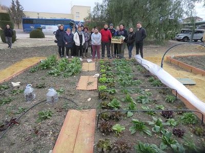 Sistemas de riego, protección y recogida