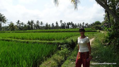 Ubud; un paseo por los campos de arrozales
