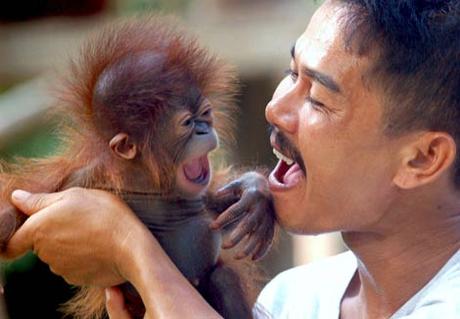 Un cuidador juega con una cría macho de orangután en el zoo de Songkhla (Tailandia). | Efe