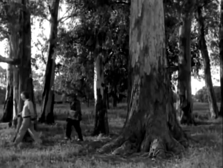 Zapada, una comedia beat - 1998 Zapada, una comedia beat - 1998