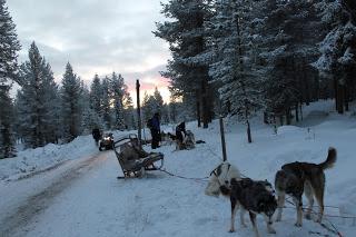 Viaje Laponia en Navidad