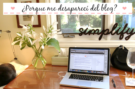 ¿Porque me desaparecí del blog?