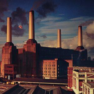 40 Años de “Animals” ¿El mejor álbum de Pink Floyd?