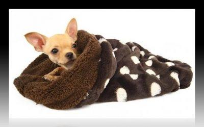 mantas para perros coche mantas para perros coche