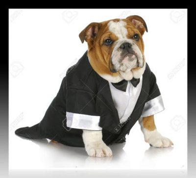 patrones de ropa para perros gratis para descargar patrones de ropa para perros gratis para descargar