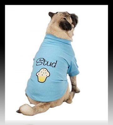 patrones de poleras para perros patrones de poleras para perros