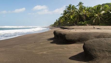 Parque Nacional Tortuguero En Costa Rica – 8 Actividades Imperdibles que hacer en tortuguero