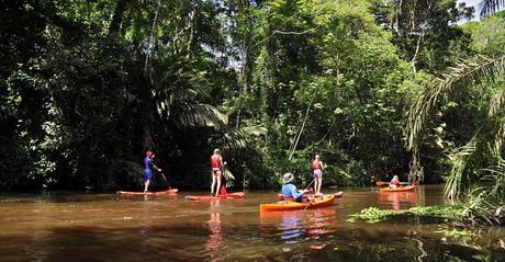 Parque Nacional Tortuguero En Costa Rica – 8 Actividades Imperdibles Parque Nacional Tortuguero En Costa Rica – 8 Actividades Imperdibles