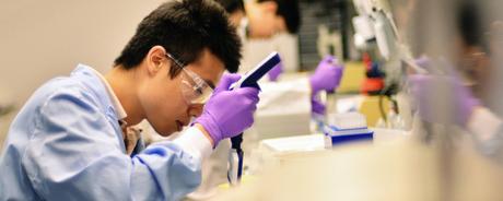 ¿Quienes evalúan la seguridad de los aditivos alimentarios? ¿Quienes evalúan la seguridad de los aditivos alimentarios?