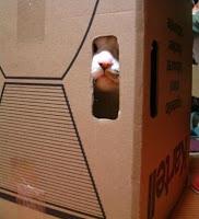 Dicho de otra manera, para que no me entiendas... Dicho de otra manera, para que no me entiendas...