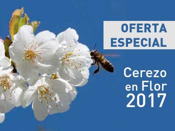 OFERTA Cerezo en Flor 2017 para grupos. Valle del Jerte